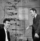 James Watson (1928-) and Francis Crick (1916-2004)