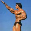 Arnold Schwarzenegger (1947-)