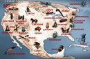 American Indian Tribes