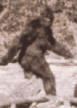 Bigfoot, 1965