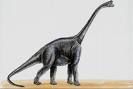 Brachiosaurus