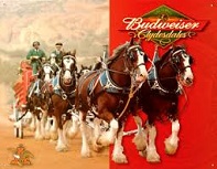 Budweiser Clydesdales, 1933