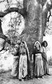 Chipko Movement, 1974-