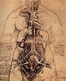 'Female Anatomy' by Leonardo da Vinci