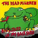 'Big Lizard in My Backyard' by The Dead Milkmen, 1985