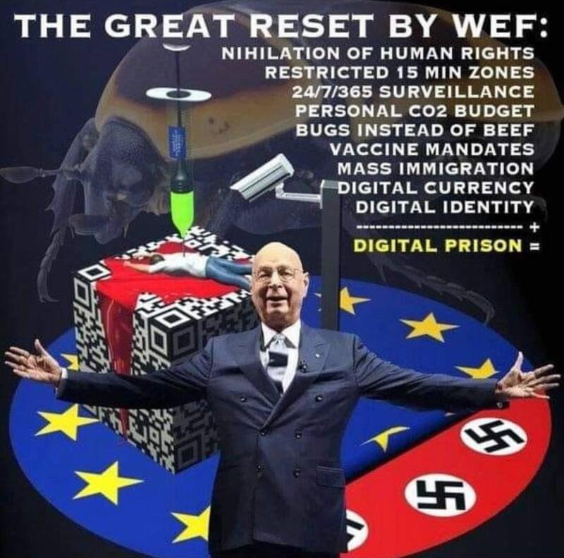 Great Reset Digital Prison