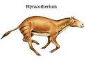 Hyracotherium