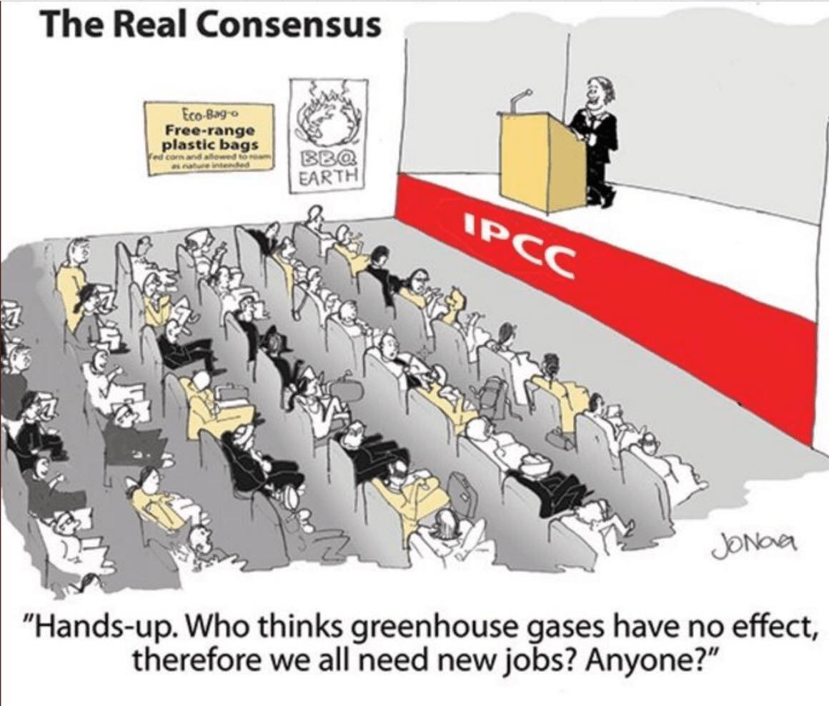 IPCC's real consensus