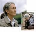 Jane Goodall (1934-)