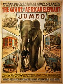Jumbo the Elephant (1860-85)