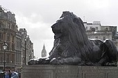 Nelson's Column Lion by Sir Edwin Henry Landseer (1802-73)