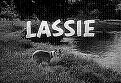 Lassie TV Series