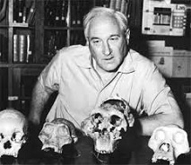 Louis Leakey (1903-72)