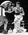 Muhammad Ali v. Ernie Terrell, Feb. 6, 1967