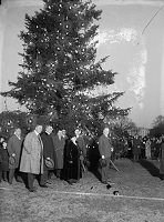 Nat. Tree Lighting, Dec. 24, 1923
