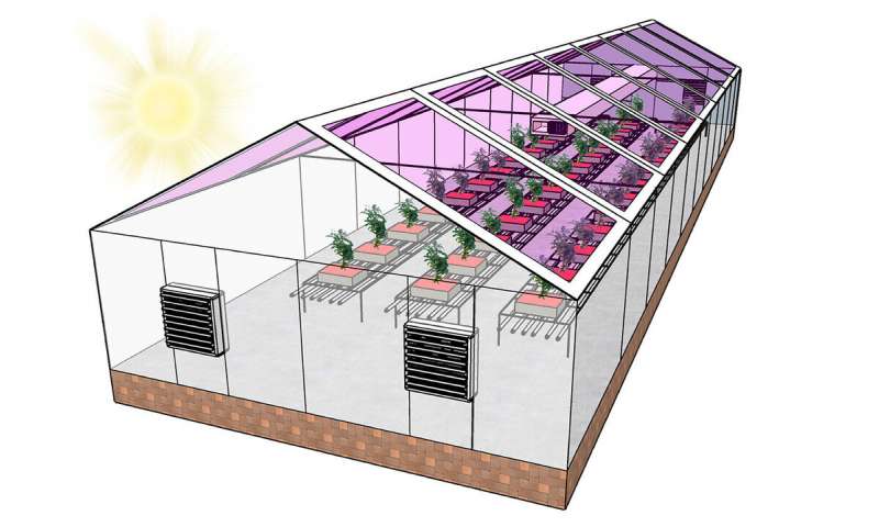 Next Gen. Greenhouse