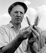 Norman Ernest Borlaug (1914-)