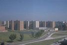 Pruitt-Igloe Housing Project, St. Louis, Mo., 1955