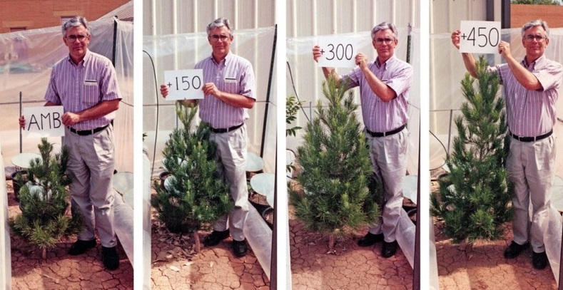 Sherwood Idso (1942-)