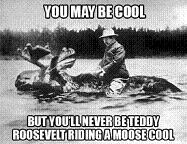 Teddy Roosevelt Riding a Bull Moose