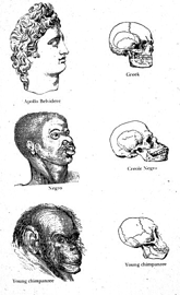 'Types of Mankind', 1854