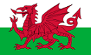 Welsh Dragon, 655
