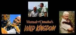 'Wild Kingdom', 1963-2011
