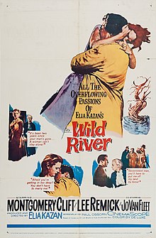 'Wild River', 1960