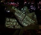 The Haunted Forest - Go Back