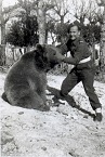 Wojtek the Bear (1942-63)