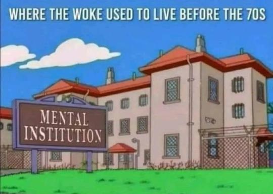 Woke Mental Institution